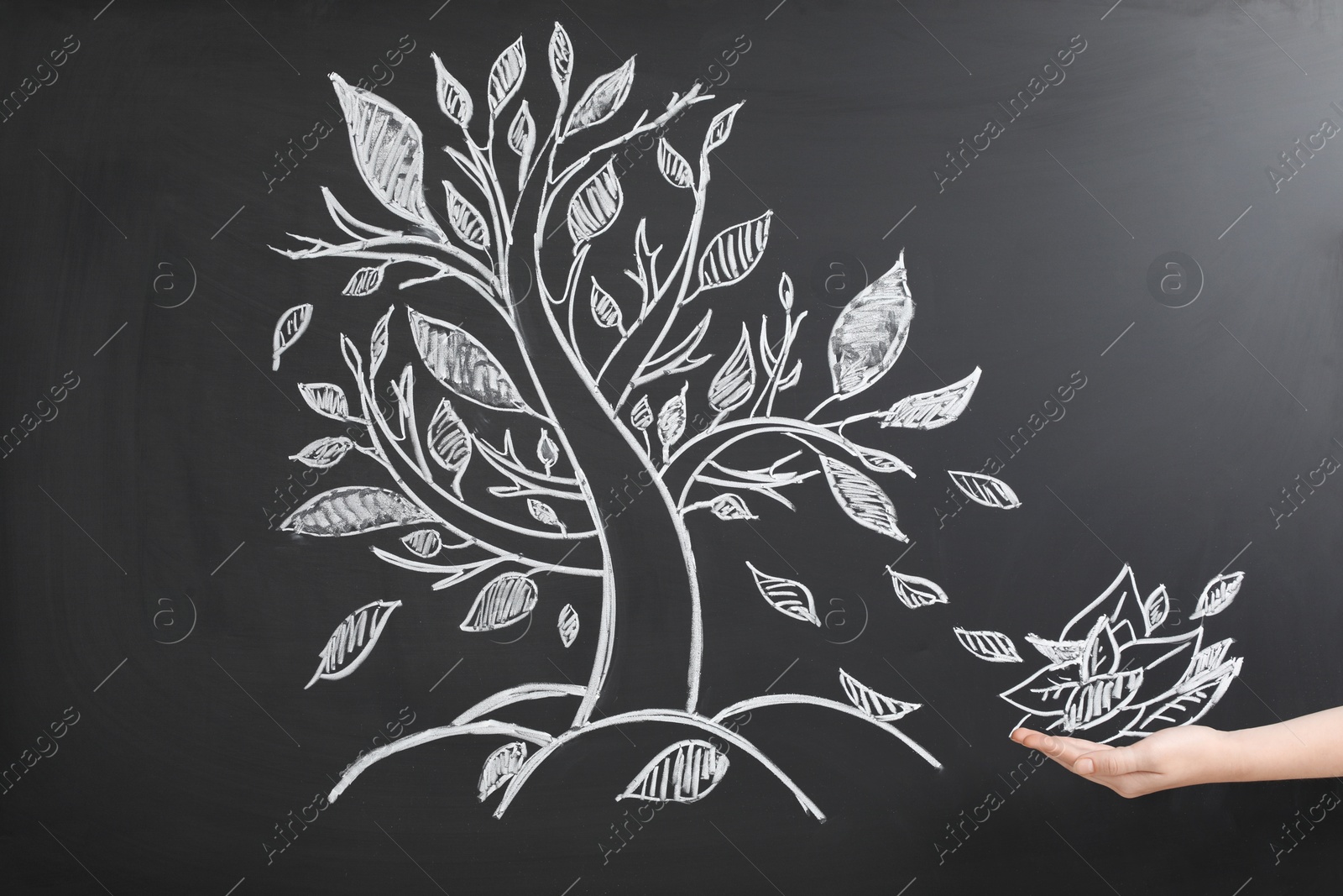 Photo of Woman pretending to catch leaves fallen from tree on chalkboard, closeup