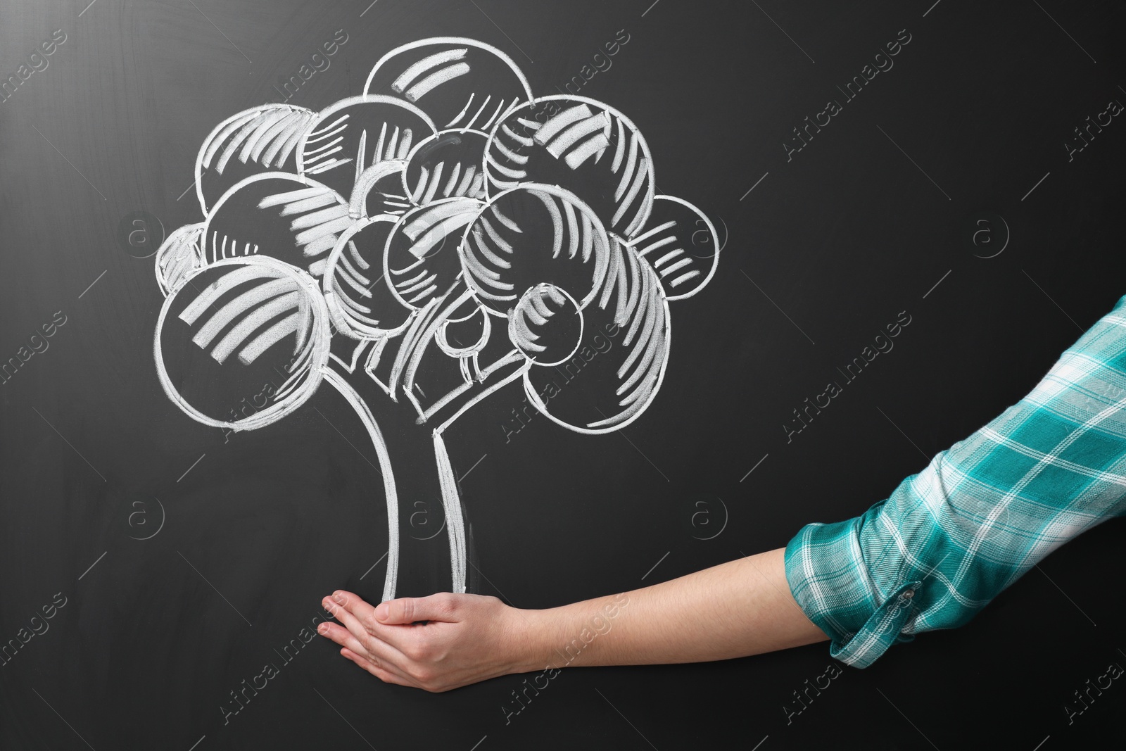 Photo of Woman pretending to hold tree drawn on chalkboard, closeup