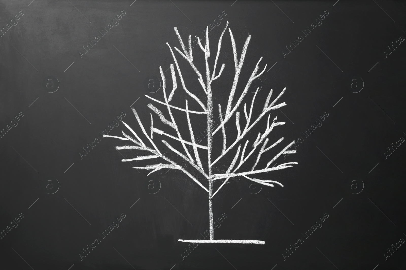 Photo of Beautiful drawing of tree on black chalkboard