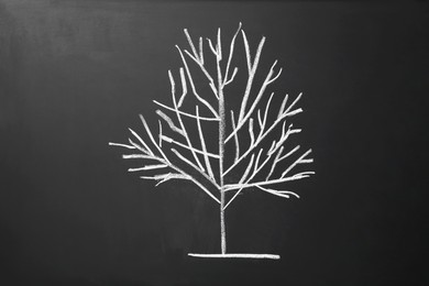 Photo of Beautiful drawing of tree on black chalkboard