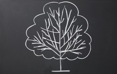 Photo of Beautiful drawing of tree on black chalkboard