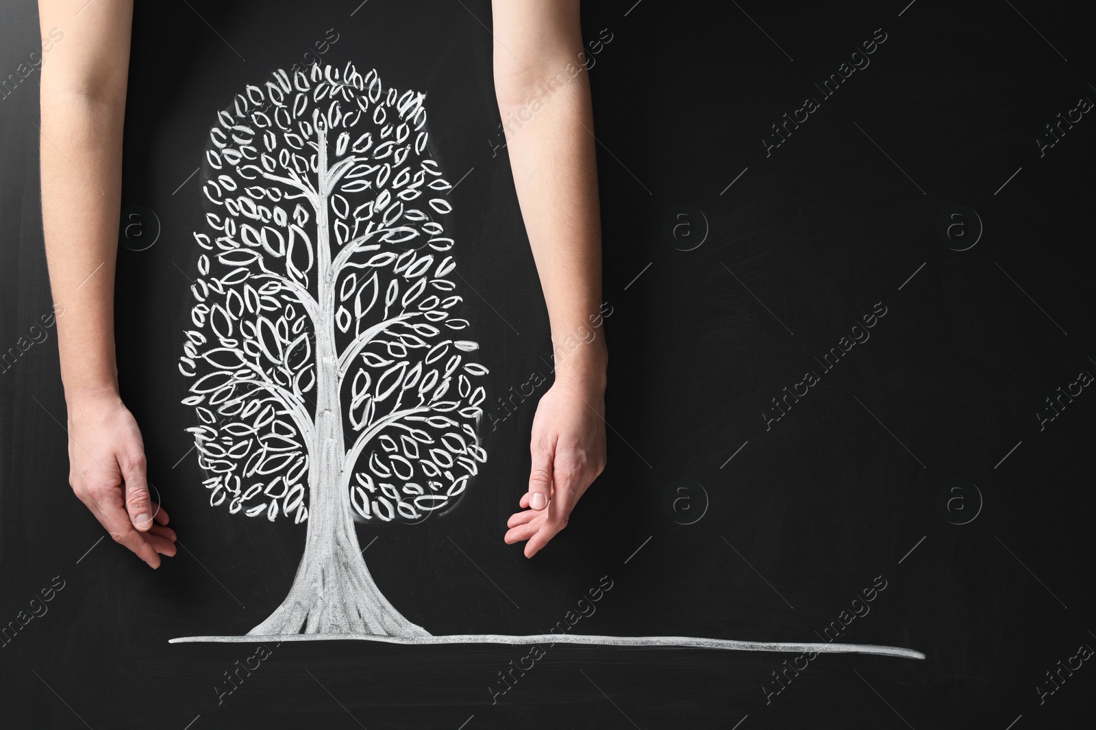 Photo of Woman keeping safe tree drawn on chalkboard, closeup. Space for text