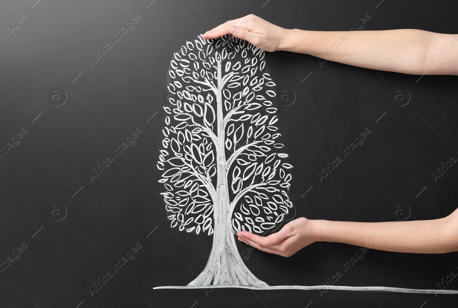 Photo of Woman keeping safe tree drawn on chalkboard, closeup