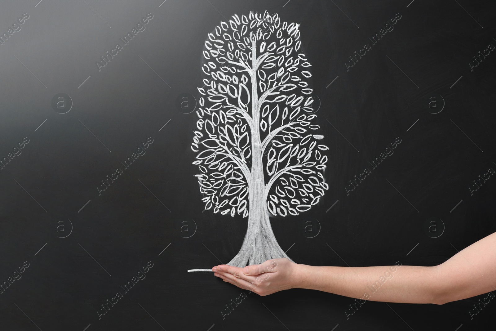 Photo of Woman pretending to hold tree drawn on chalkboard, closeup