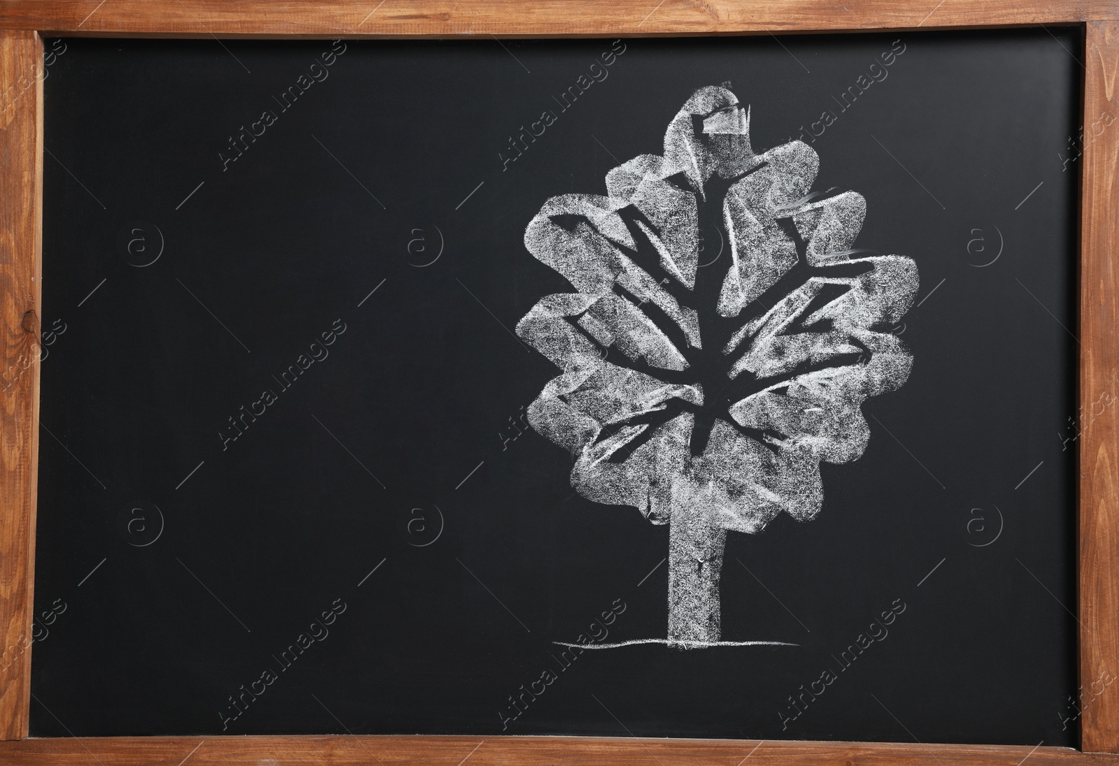 Photo of Beautiful drawing of tree on black chalkboard