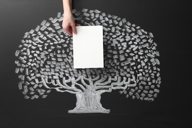 Photo of Woman holding blank paper sheet over chalkboard with tree drawing, closeup