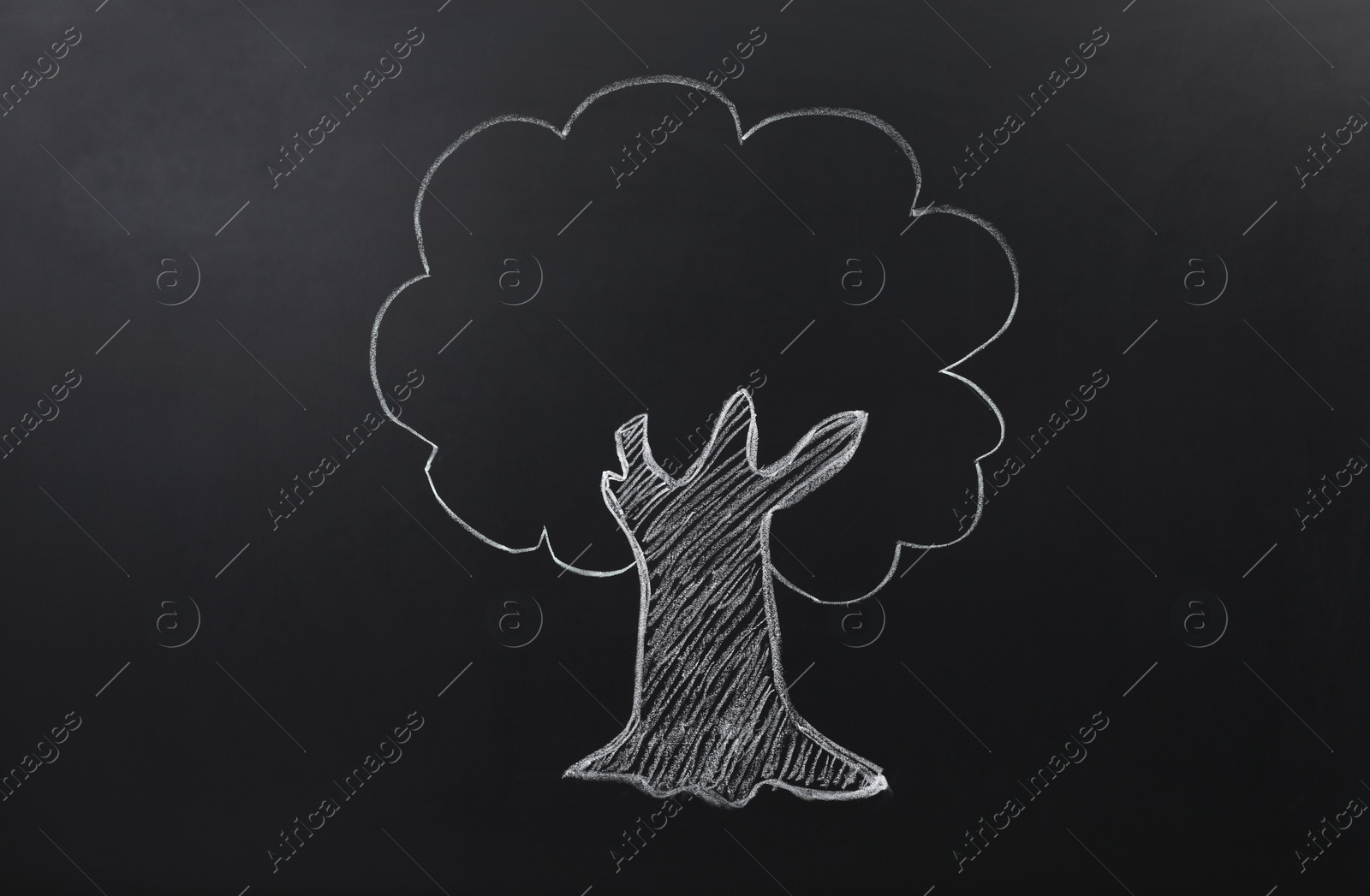 Photo of Beautiful drawing of tree on black chalkboard