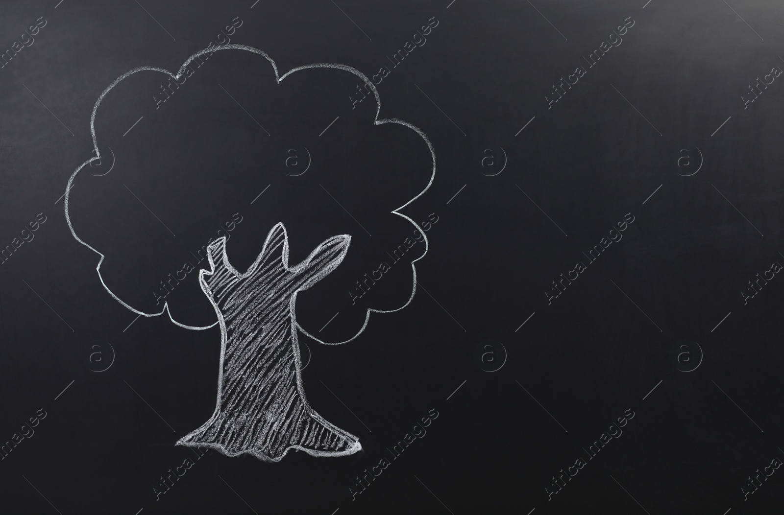 Photo of Beautiful drawing of tree on black chalkboard. Space for text