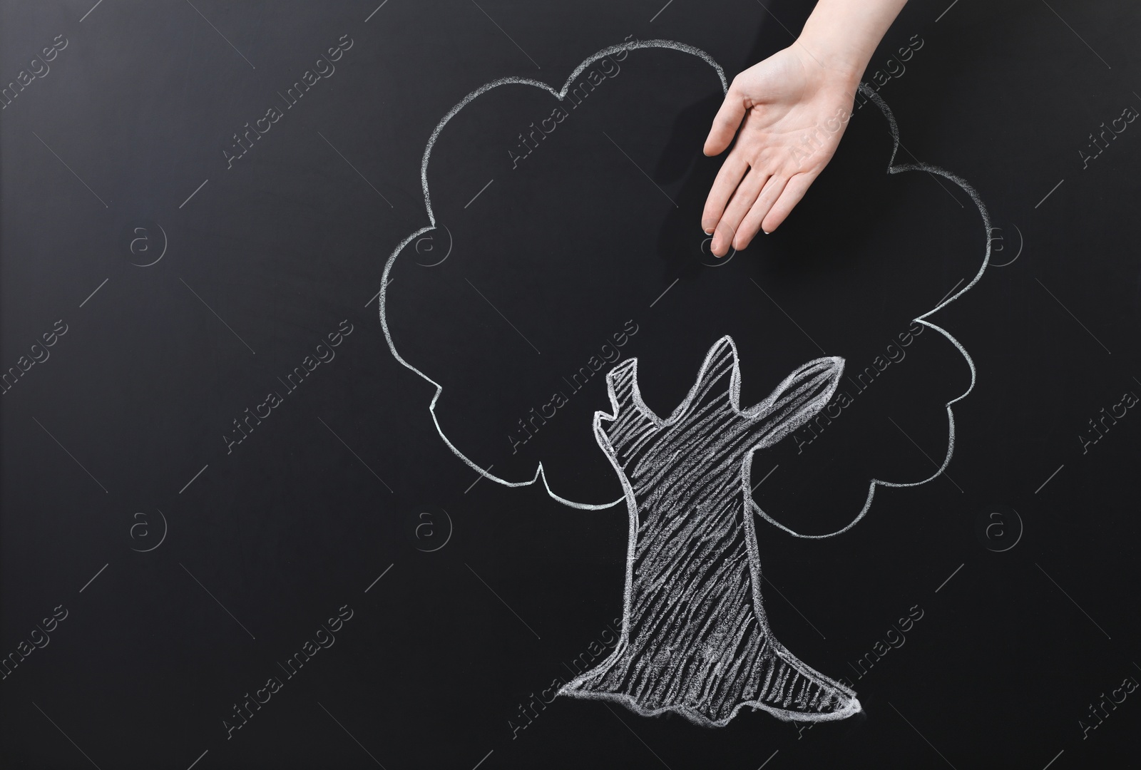 Photo of Woman showing tree drawing on chalkboard, closeup. Space for text