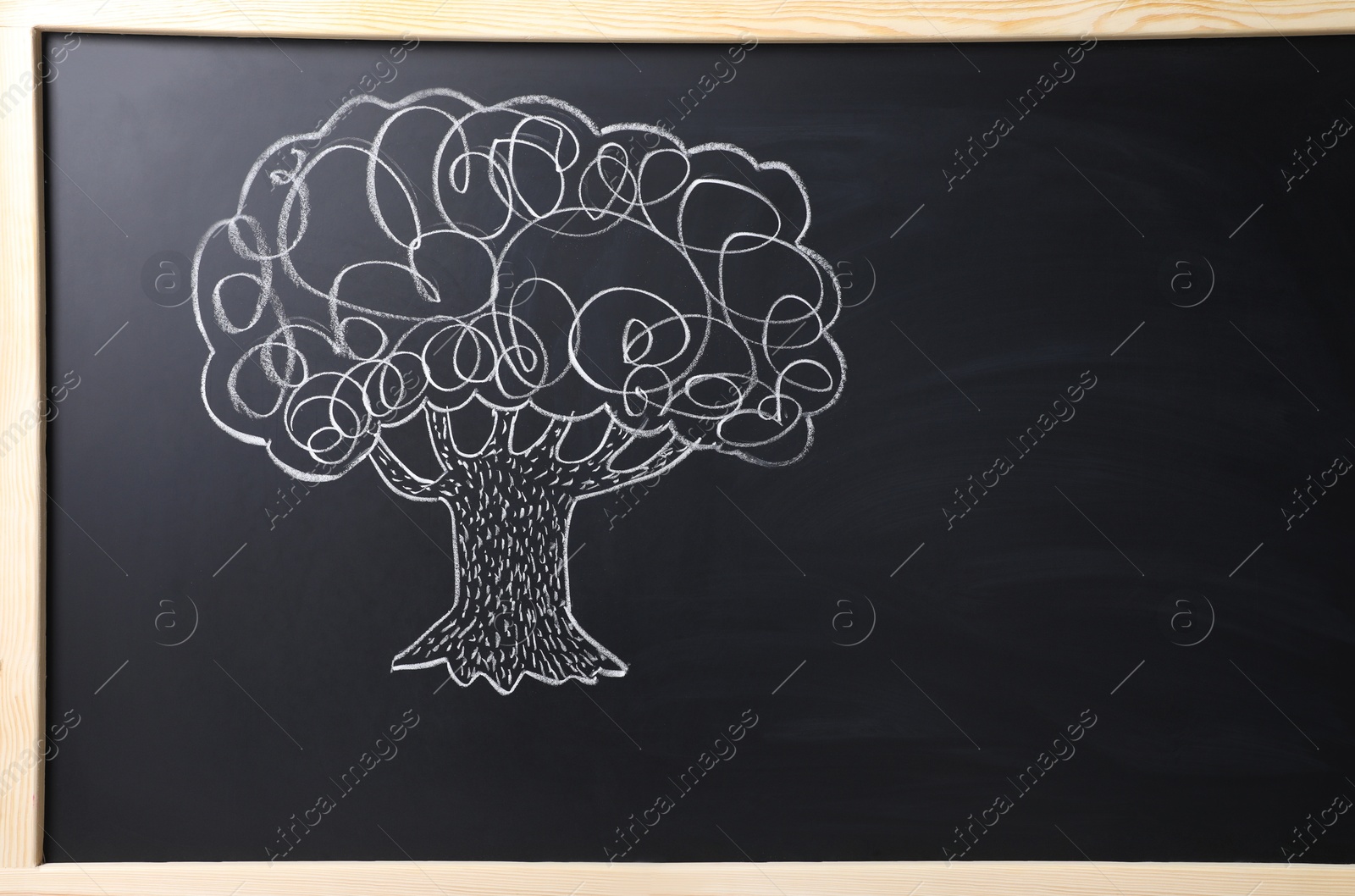 Photo of Beautiful drawing of tree on black chalkboard. Space for text