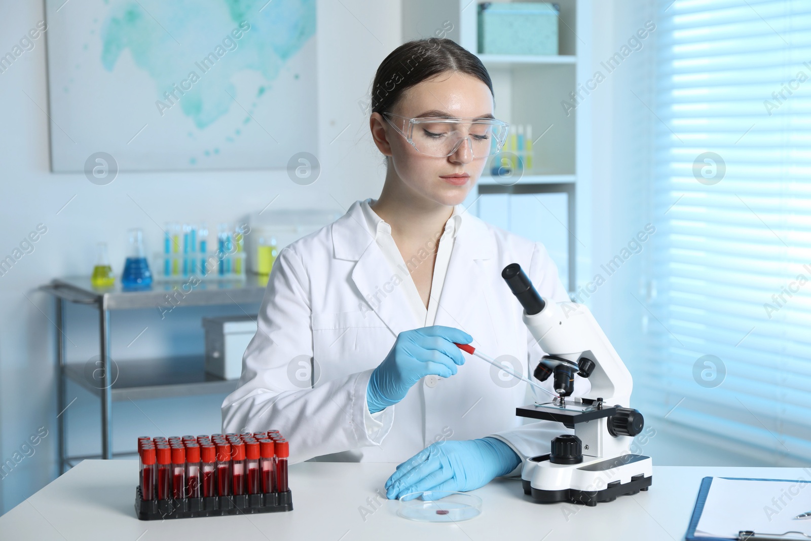 Photo of Laboratory testing. Doctor dripping blood sample onto glass slide while working with microscope at table indoors