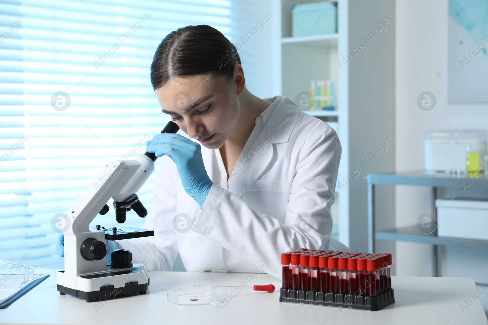 Photo of Laboratory testing. Doctor working with microscope at table indoors