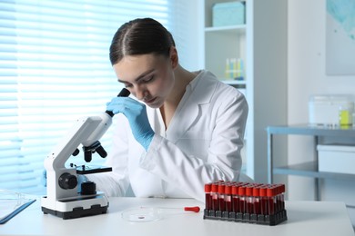 Laboratory testing. Doctor working with microscope at table indoors