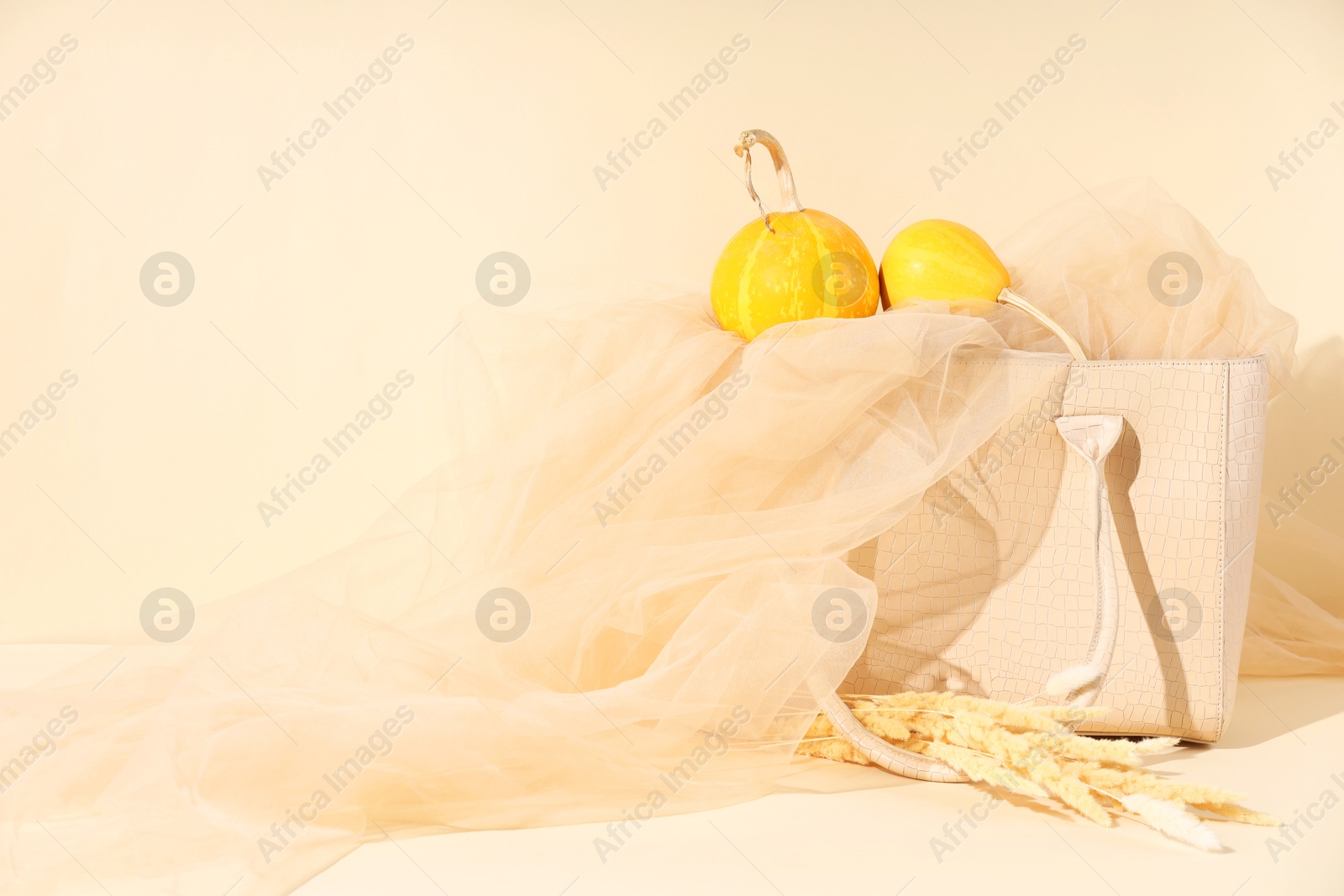 Photo of Bag, fabric, pumpkins and dry flowers on beige background