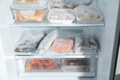 Photo of Different frozen meat and fish products in fridge