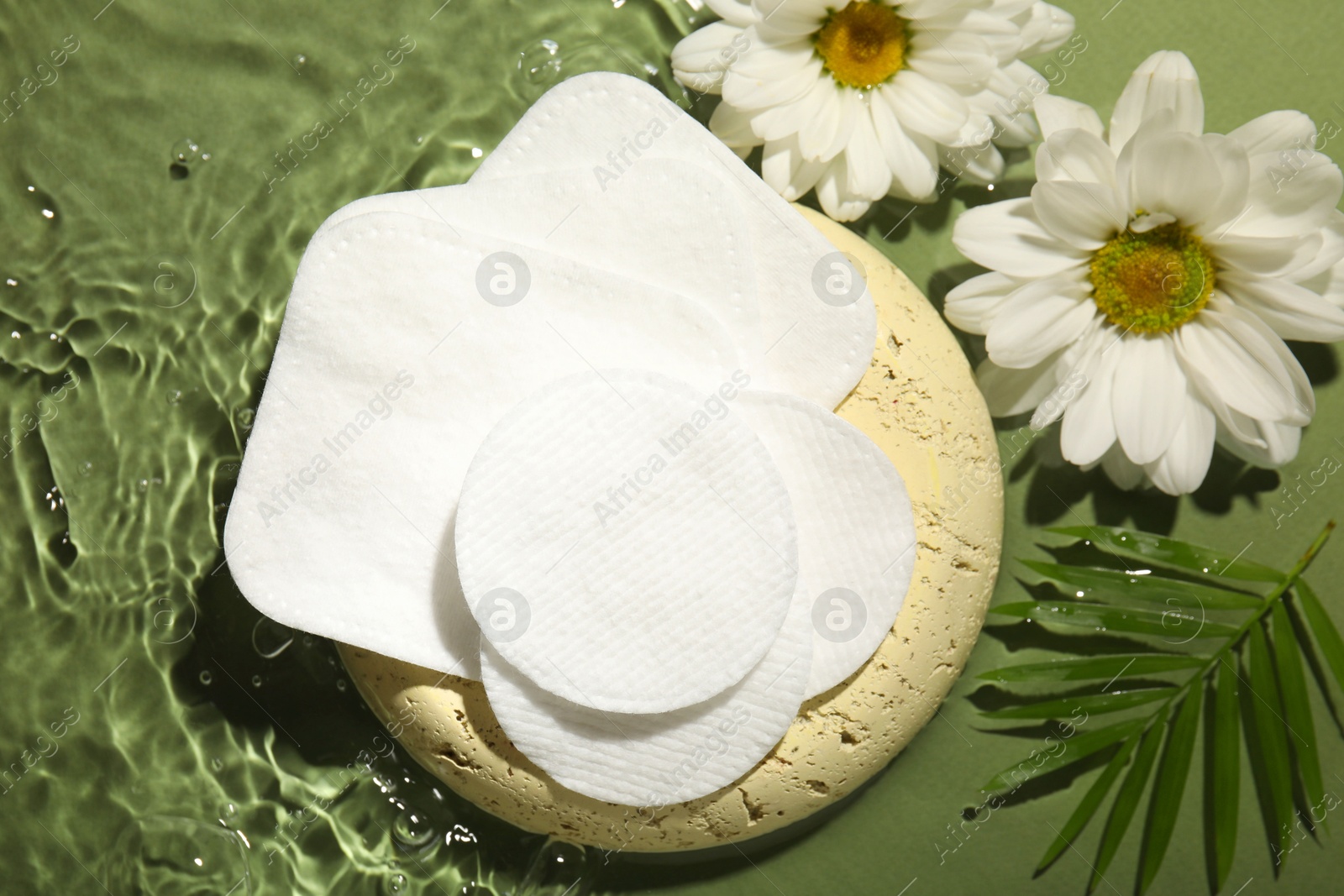 Photo of Flat lay composition with cotton pads on wet green surface