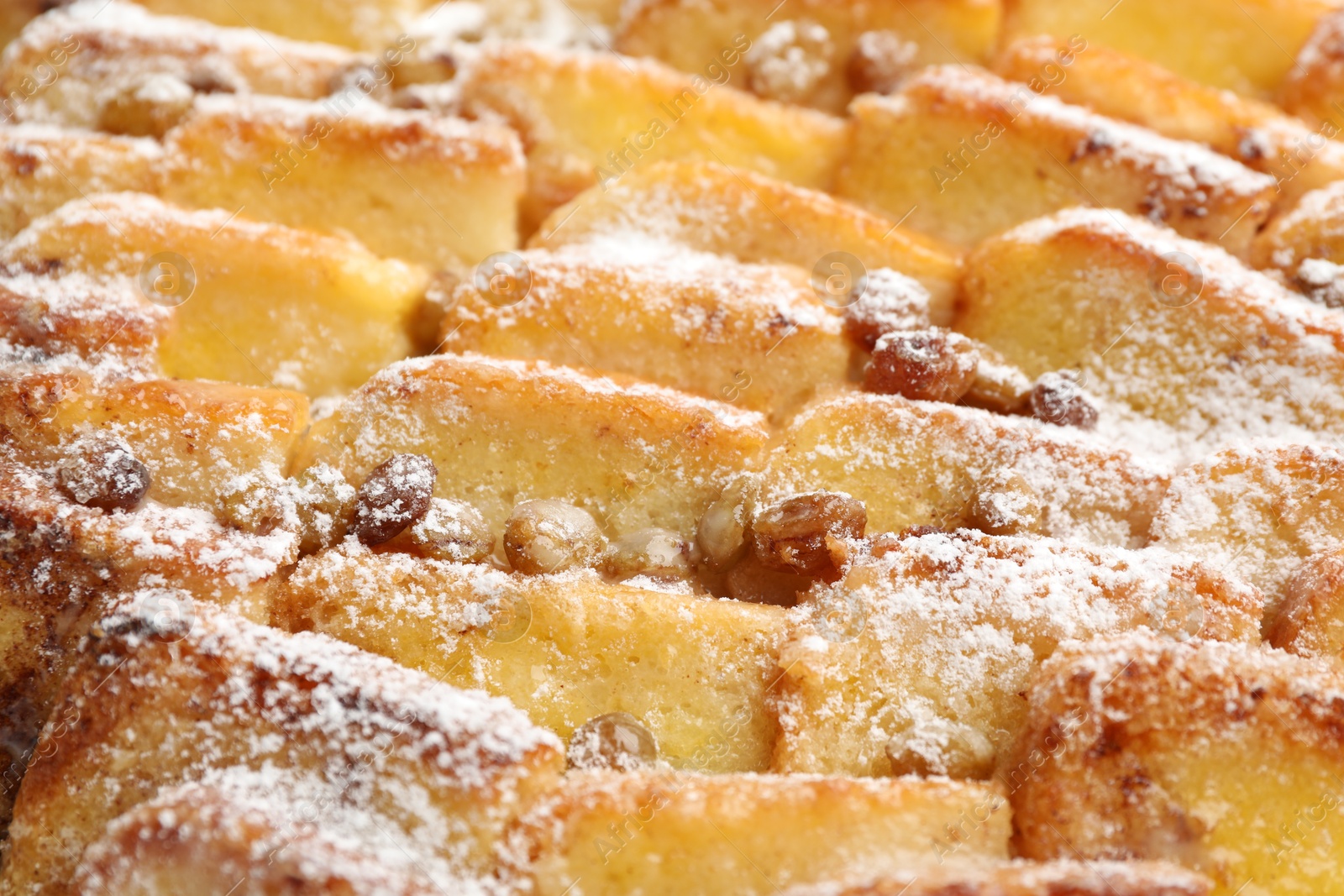 Photo of Delicious bread pudding with raisins and powdered sugar, closeup