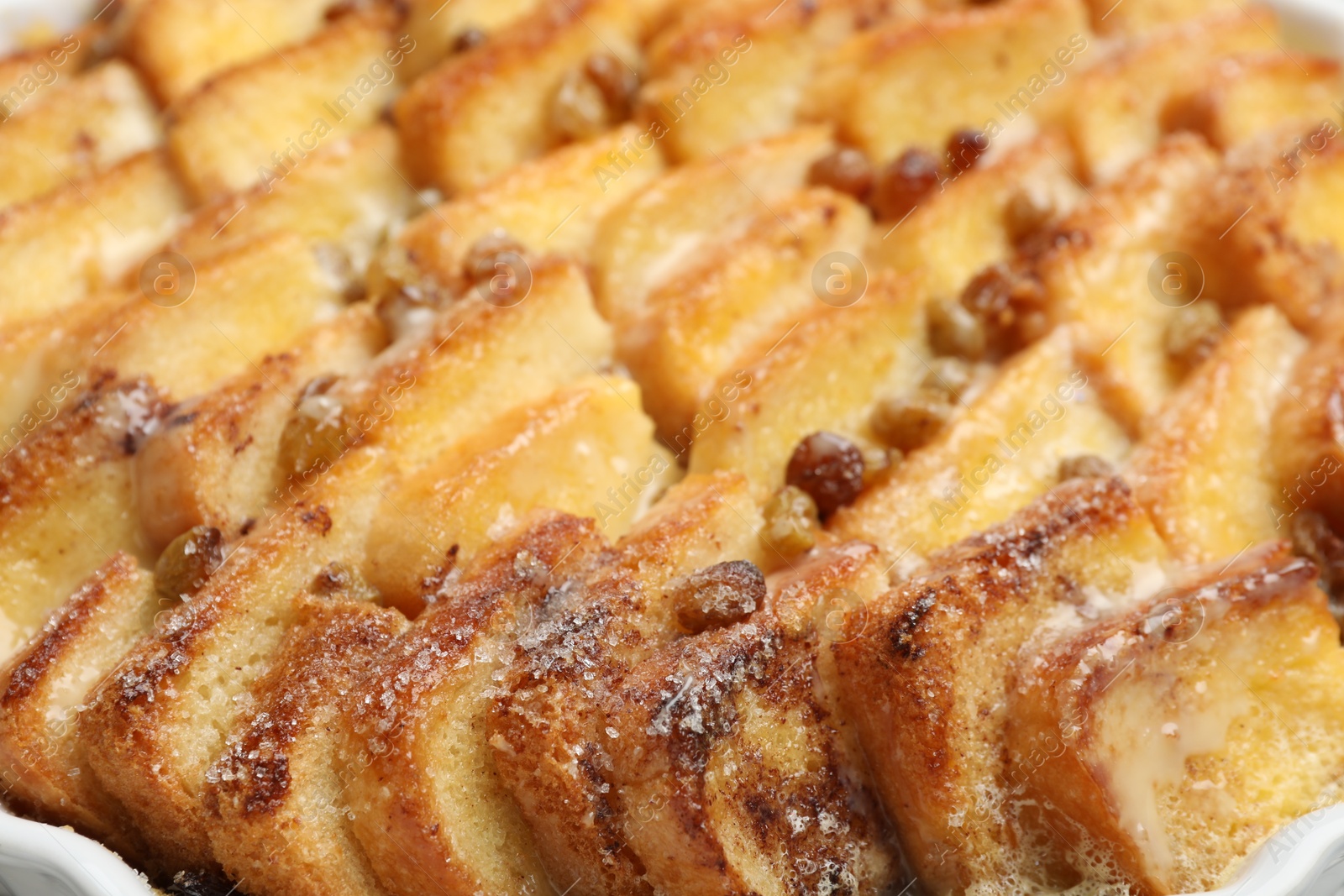 Photo of Delicious bread pudding with raisins in dish, closeup