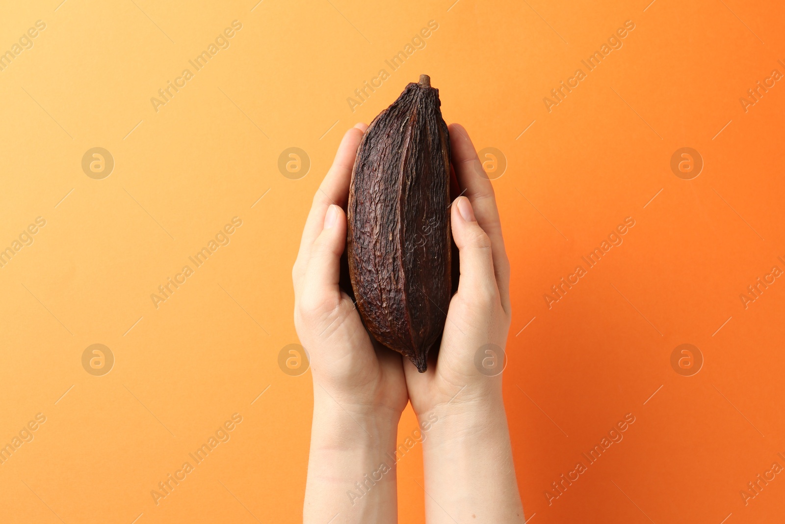 Photo of Woman with cocoa pod on orange background, closeup