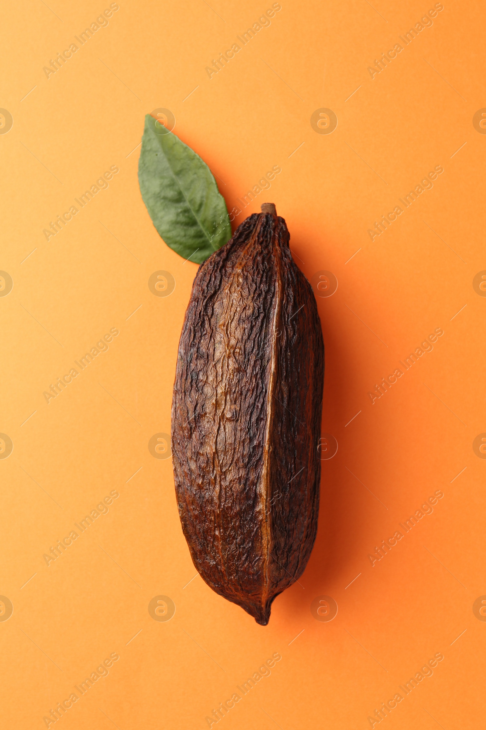 Photo of Natural cocoa pod on orange background, top view