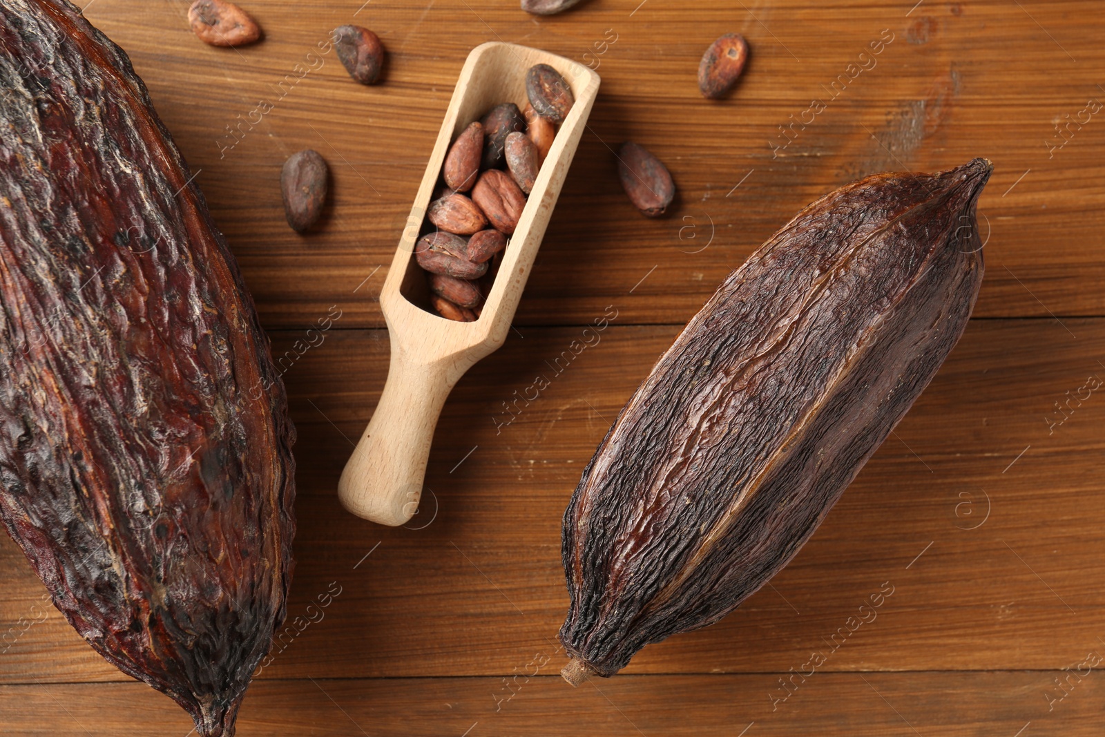 Photo of Cocoa pods and beans on wooden table, flat lay