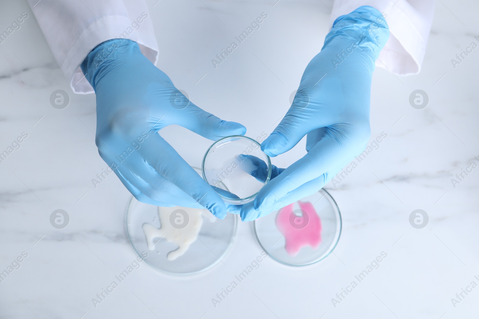 Photo of Laboratory testing. Scientist working with Petri dishes at white marble table, top view