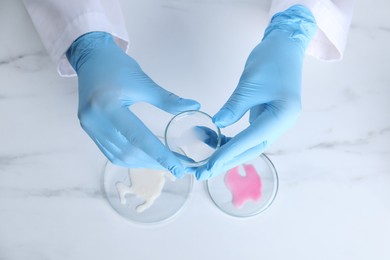 Photo of Laboratory testing. Scientist working with Petri dishes at white marble table, top view