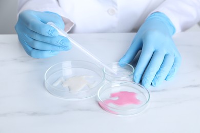 Photo of Laboratory testing. Scientist working with Petri dishes at white marble table, closeup