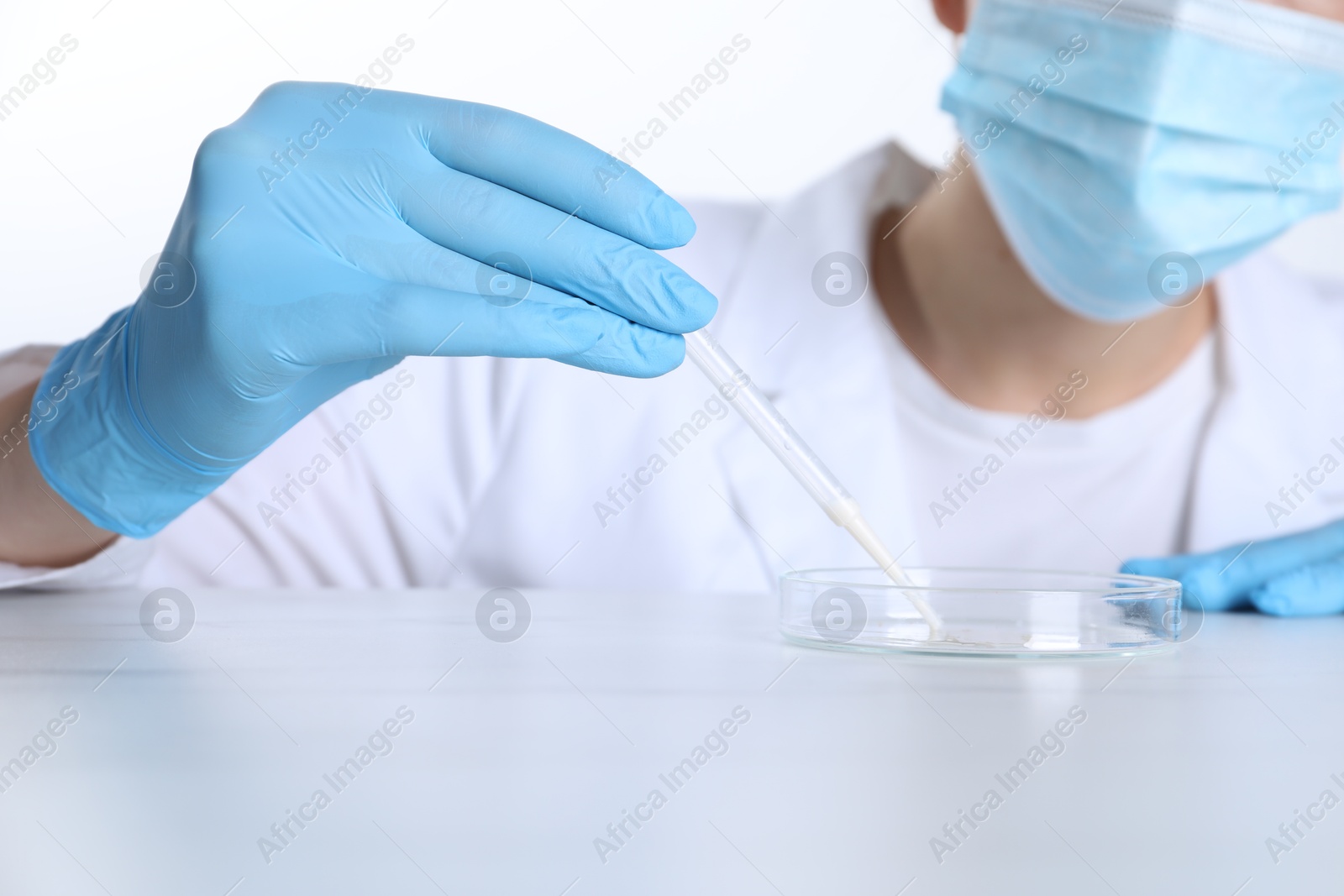 Photo of Laboratory testing. Scientist working with Petri dish at white marble table, closeup