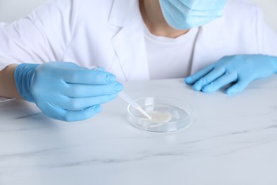 Photo of Laboratory testing. Scientist working with Petri dish at white marble table, closeup