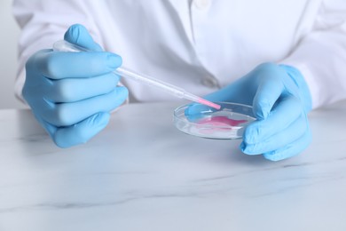 Photo of Laboratory testing. Scientist working with Petri dish at white marble table, closeup