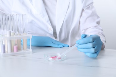 Photo of Laboratory testing. Scientist working with Petri dish and test tubes at white marble table, closeup