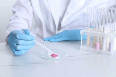 Photo of Laboratory testing. Scientist working with Petri dish and test tubes at white marble table, closeup