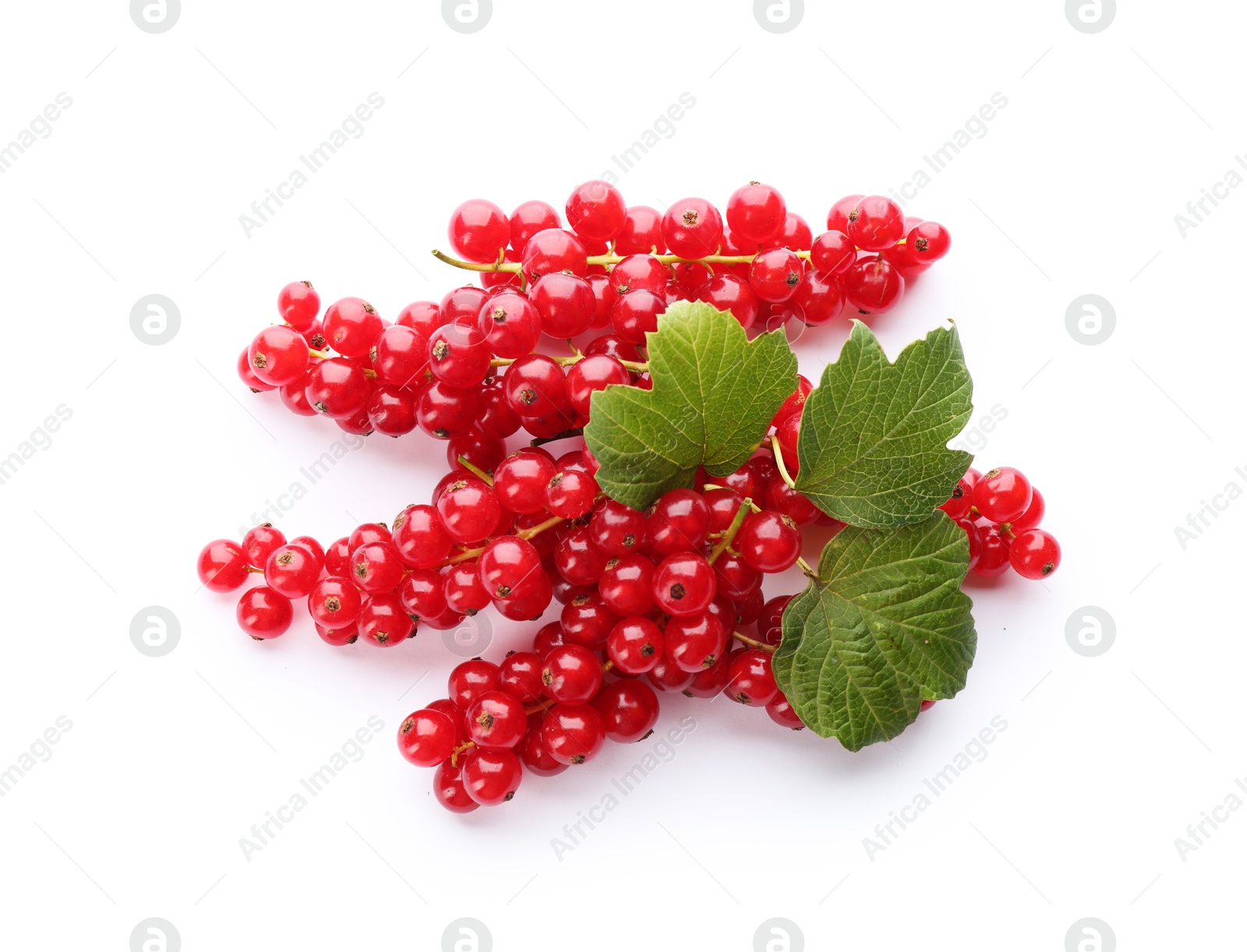 Photo of Delicious ripe red currants isolated on white, top view