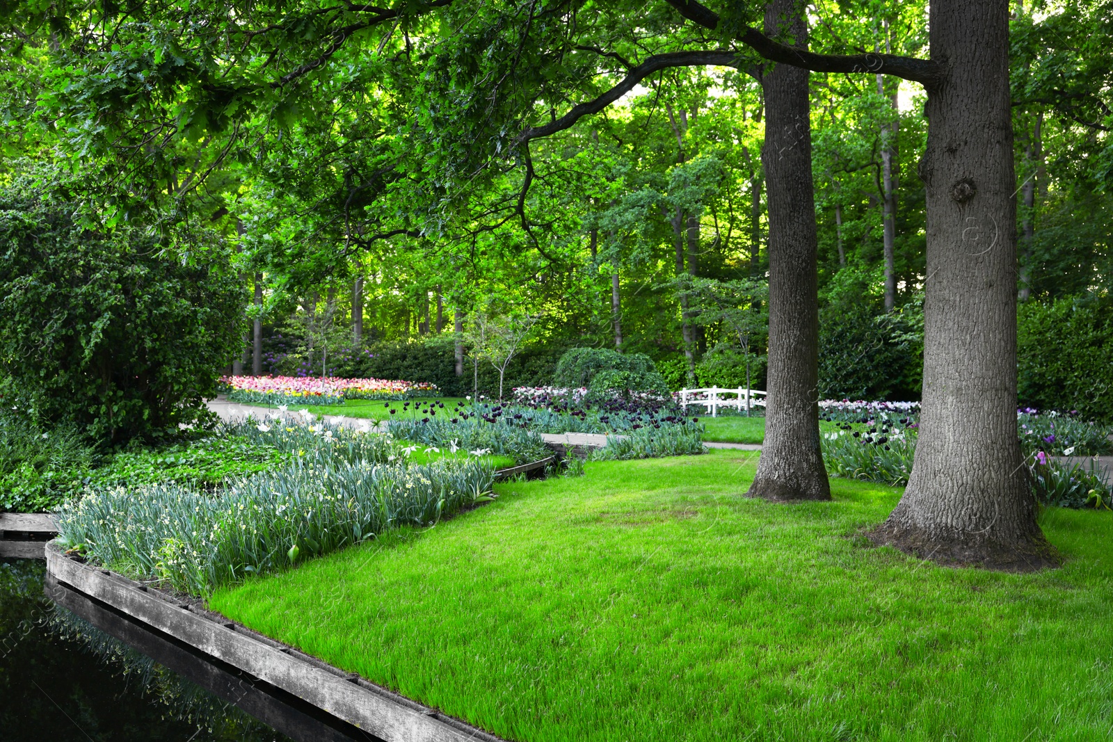 Photo of Park with beautiful plants and water canal on sunny day. Spring season