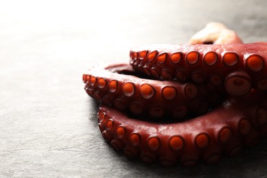 Photo of Fresh raw octopus on grey table, closeup