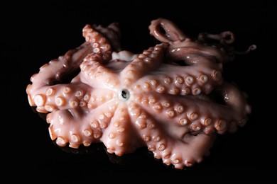 Photo of One fresh raw octopus on black background, closeup