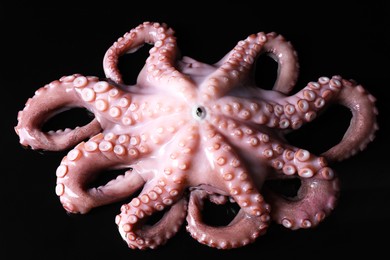 Photo of One fresh raw octopus on black background