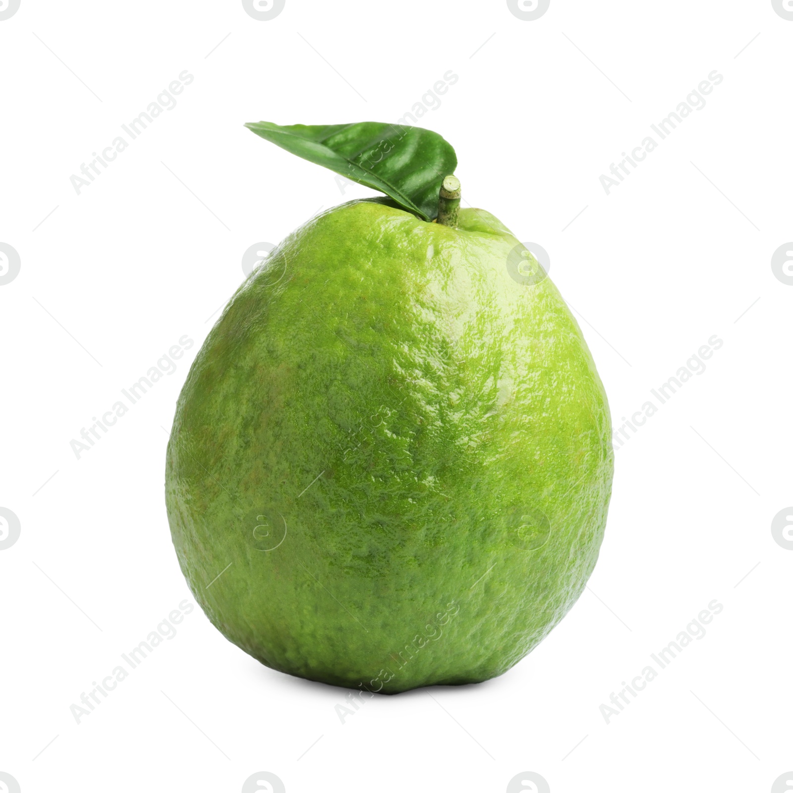 Photo of One fresh guava fruit with leaf isolated on white