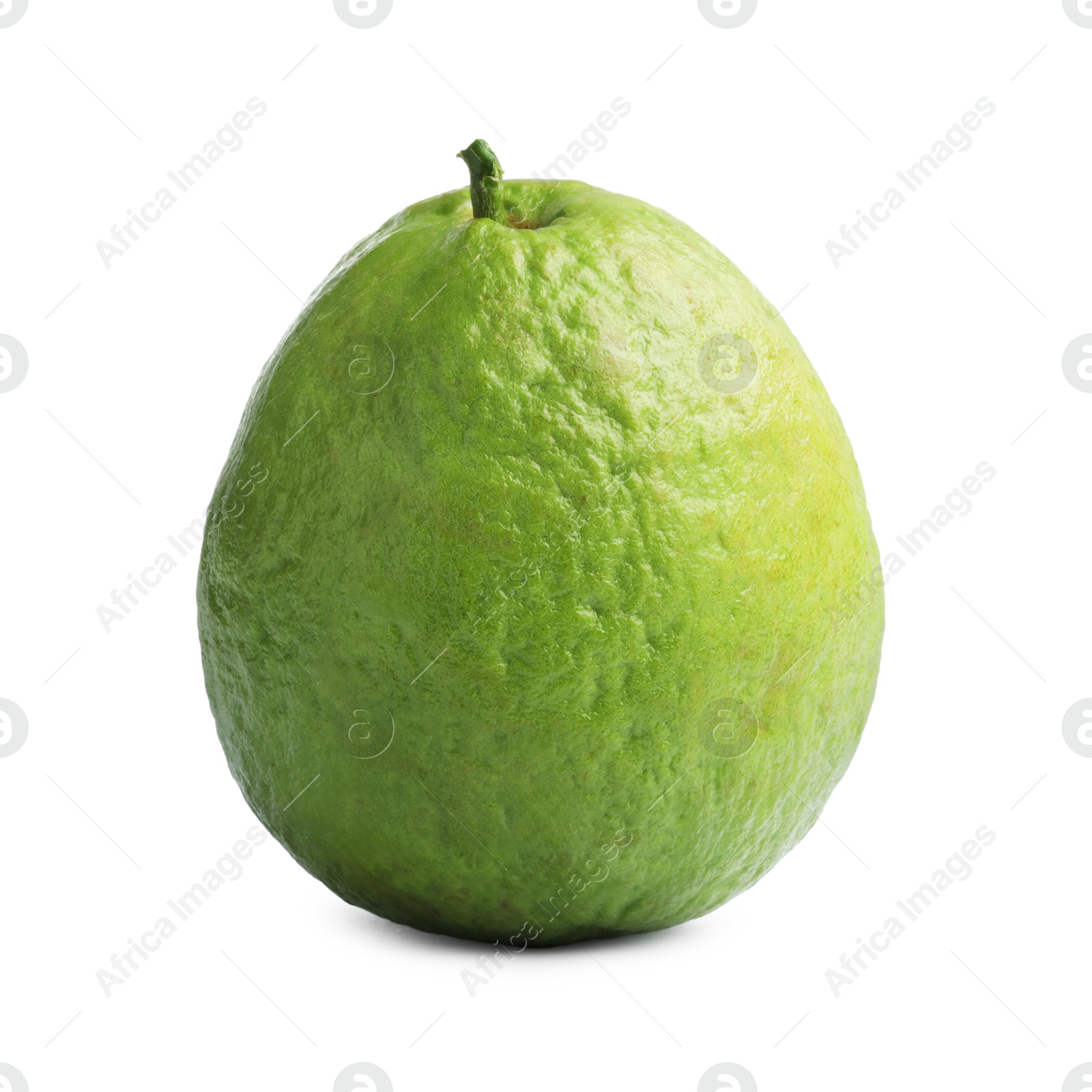 Photo of One fresh guava fruit isolated on white