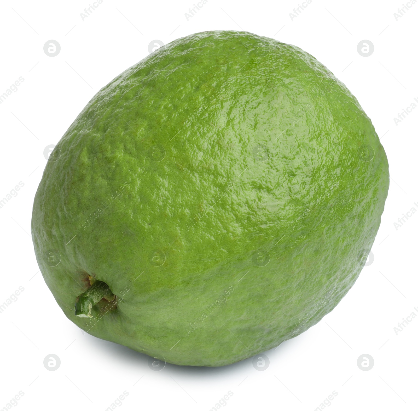 Photo of One fresh guava fruit isolated on white