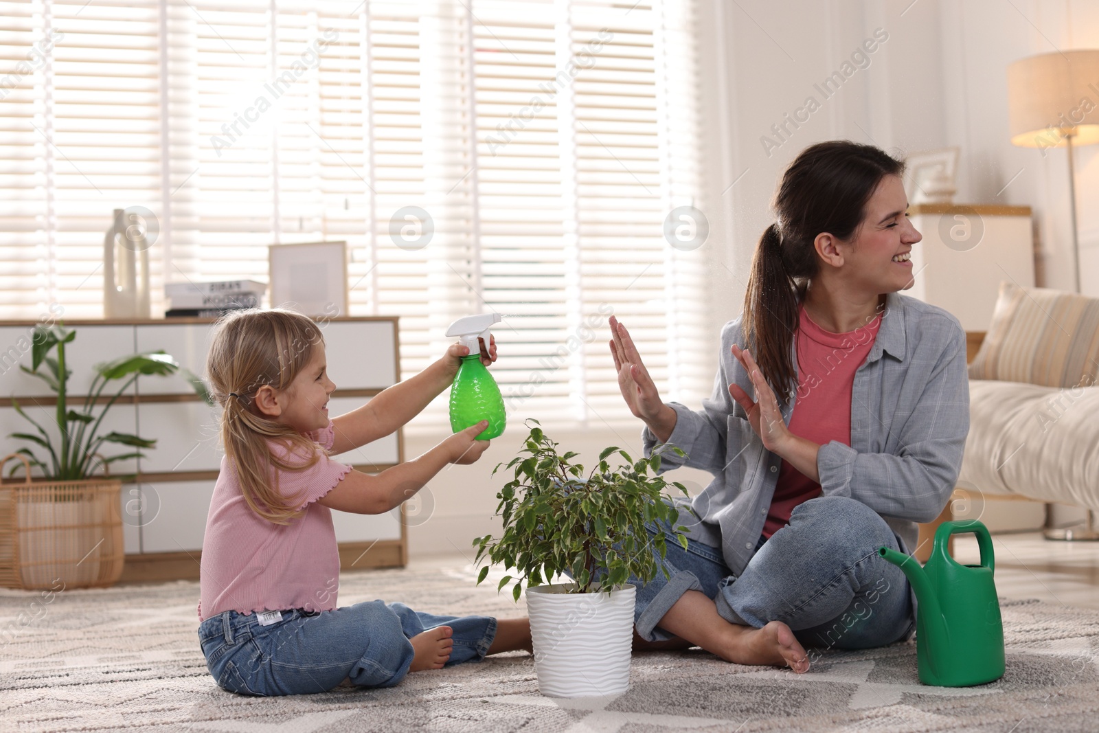 Photo of Cute little girl helping her mother watering houseplant at home