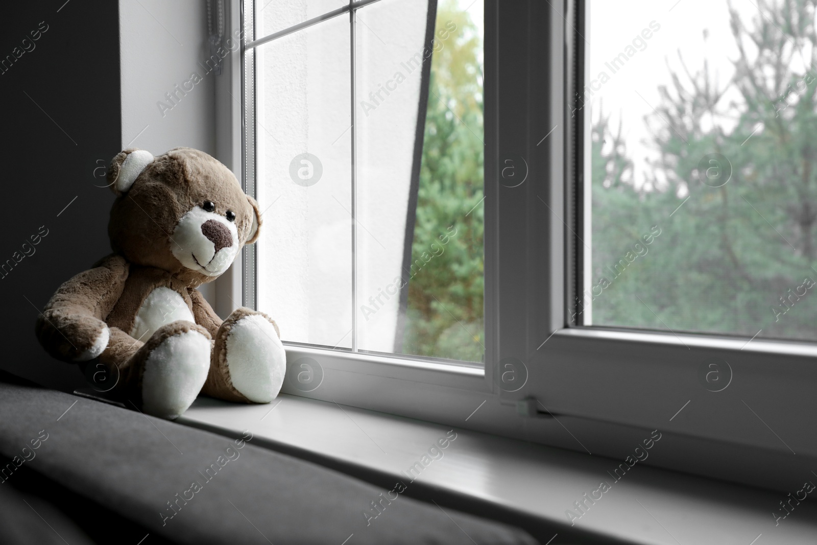 Photo of Lonely teddy bear near window. Space for text