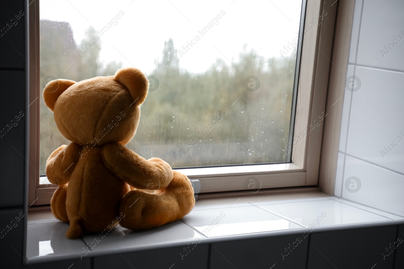 Photo of Lonely teddy bear near window on rainy day. Space for text