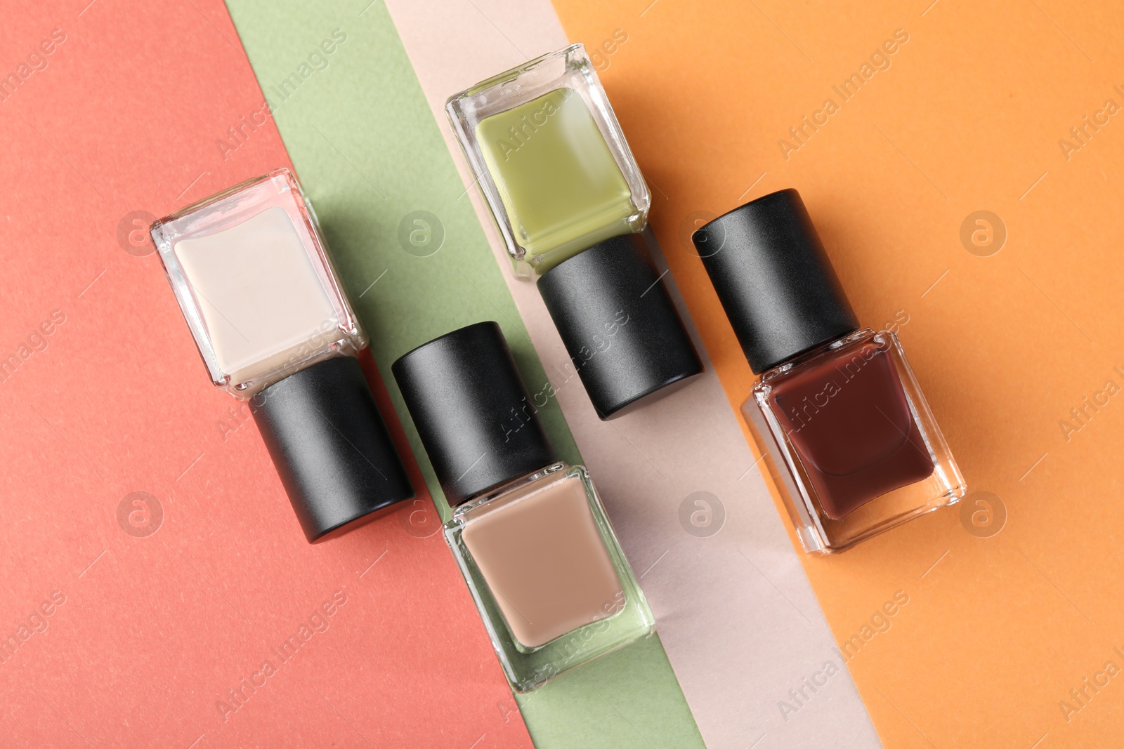 Photo of Nail polishes in bottles on color background, flat lay