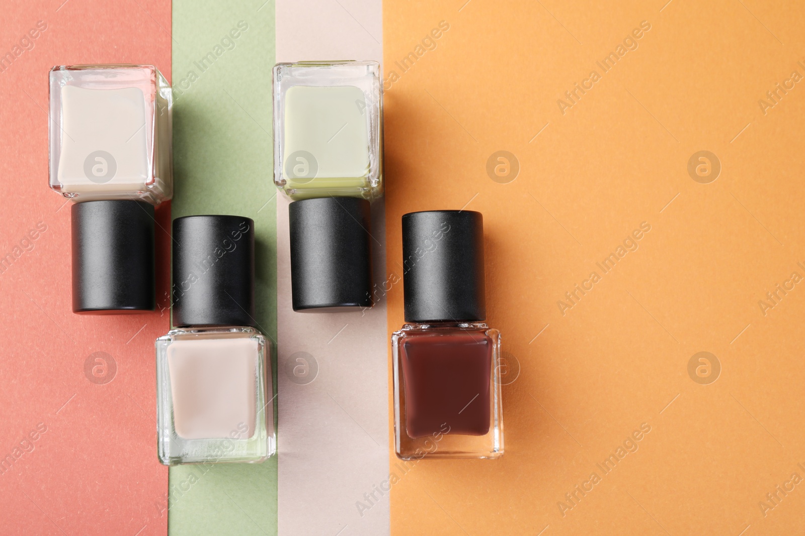 Photo of Nail polishes in bottles on color background, flat lay. Space for text