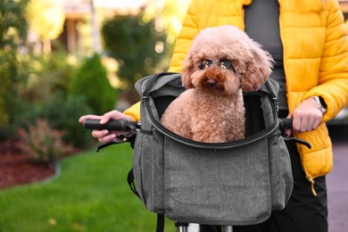 Photo of Woman with bicycle and cute Toy Poodle dog in sunglasses outdoors, closeup