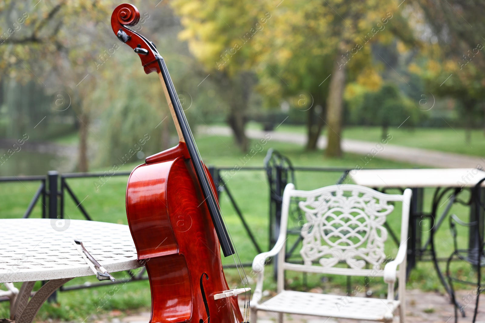 Photo of Beautiful cello near coffee table in park. Classic musical instrument