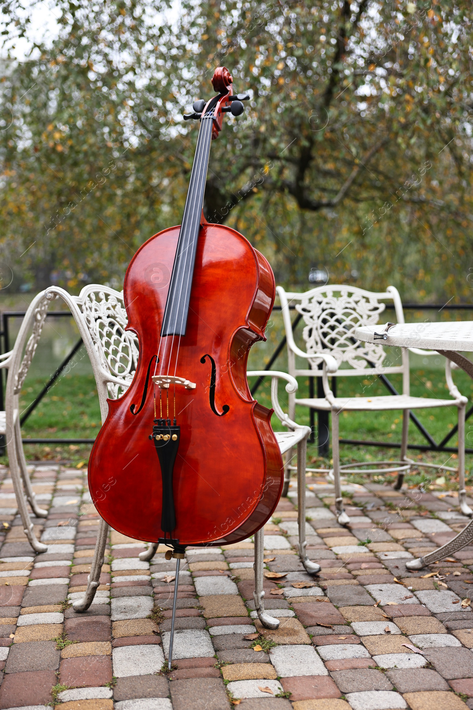 Photo of Beautiful cello near chair in park. Classic musical instrument