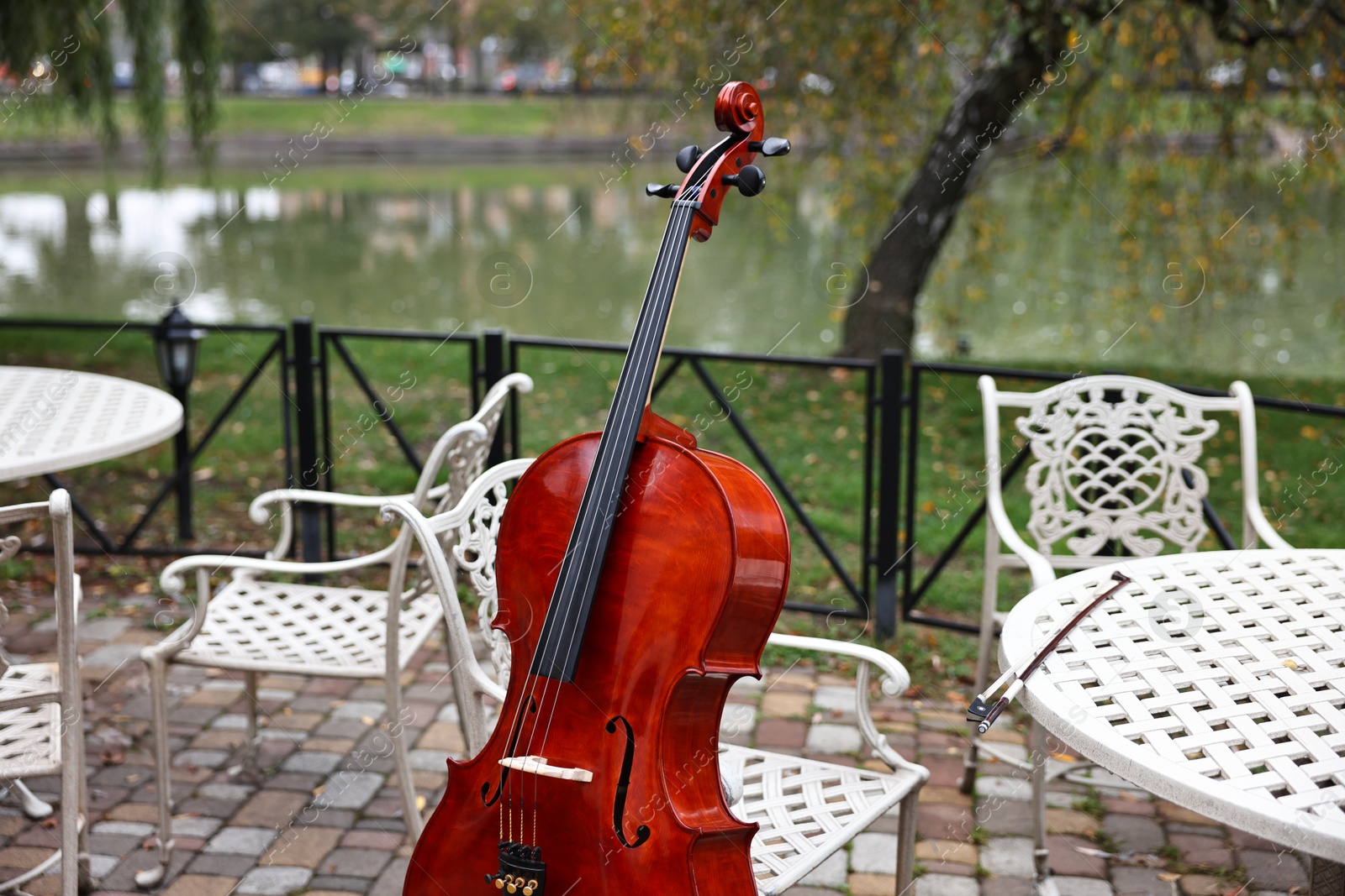 Photo of Beautiful cello near chair in park. Classic musical instrument